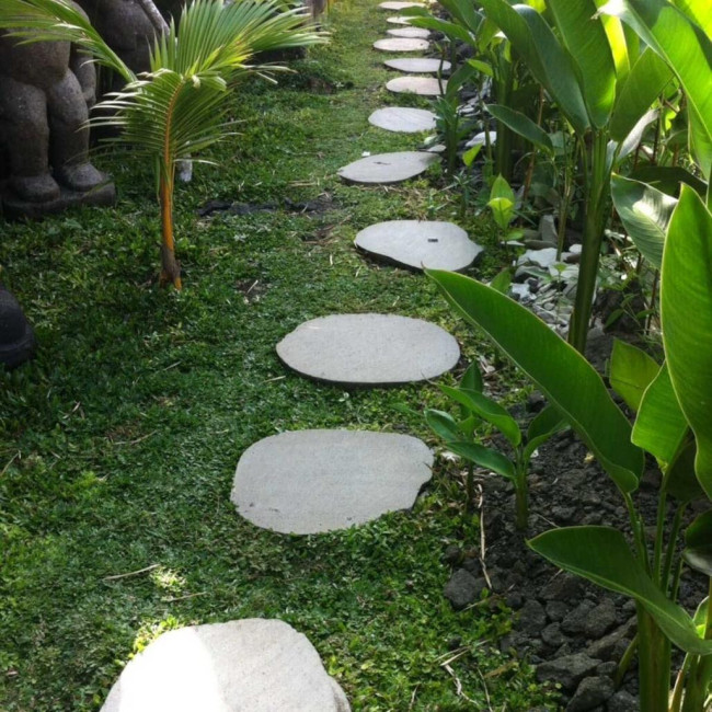 5 pasos japoneses de piedra de rào 50-55 cm