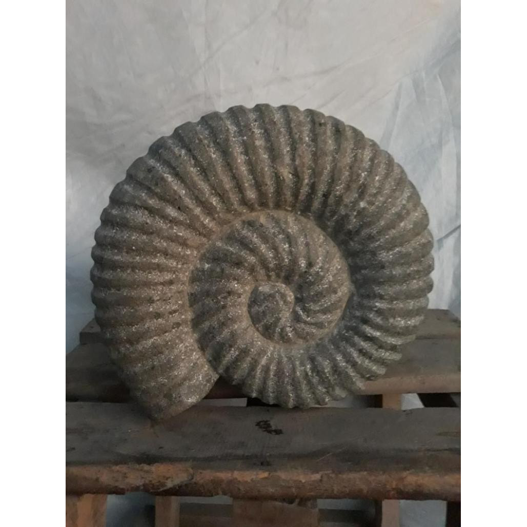 Concha nautilus de piedra 30 cm