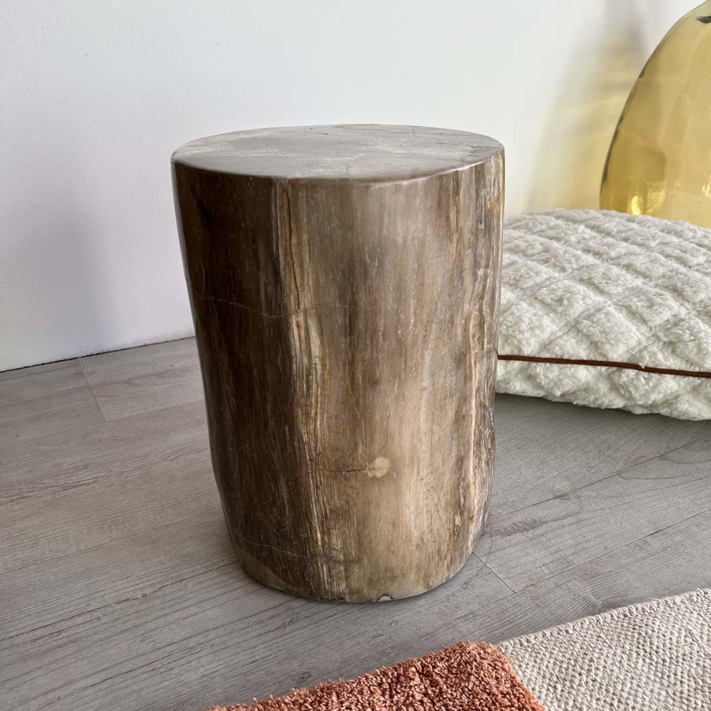 Puf Taburete de madera petrificada Puf Taburete de madera petrificada