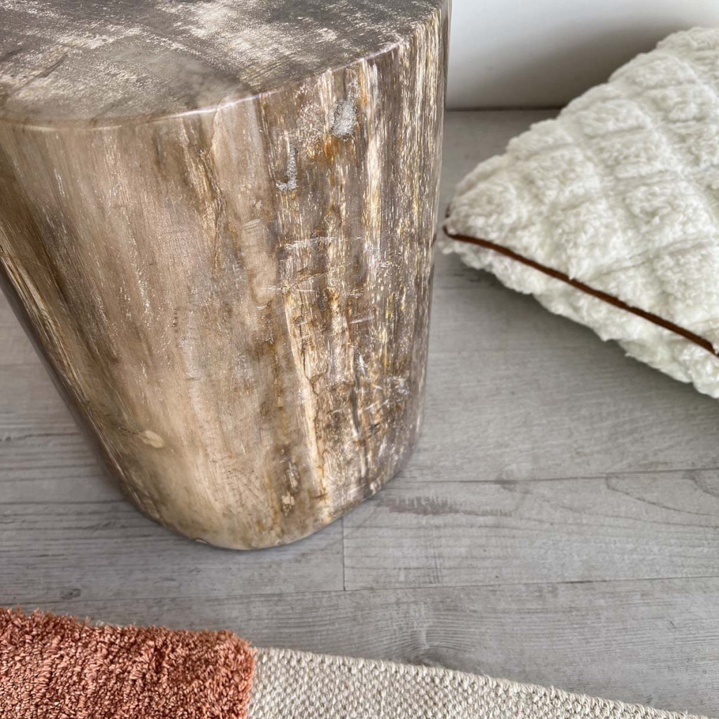 Puf Taburete de madera petrificada Puf Taburete de madera petrificada