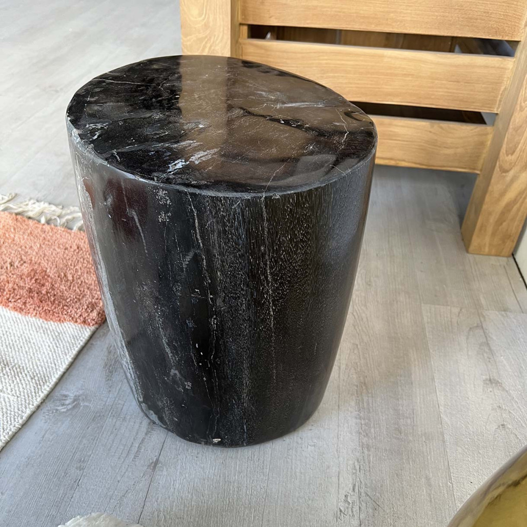 Puf de madera fosilizada Puf de madera fosilizada