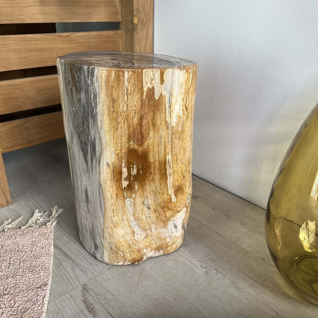 Puf Taburete de madera petrificada Puf Taburete de madera petrificada