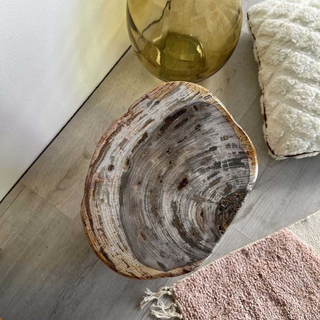 Puf Taburete de madera petrificada Puf Taburete de madera petrificada