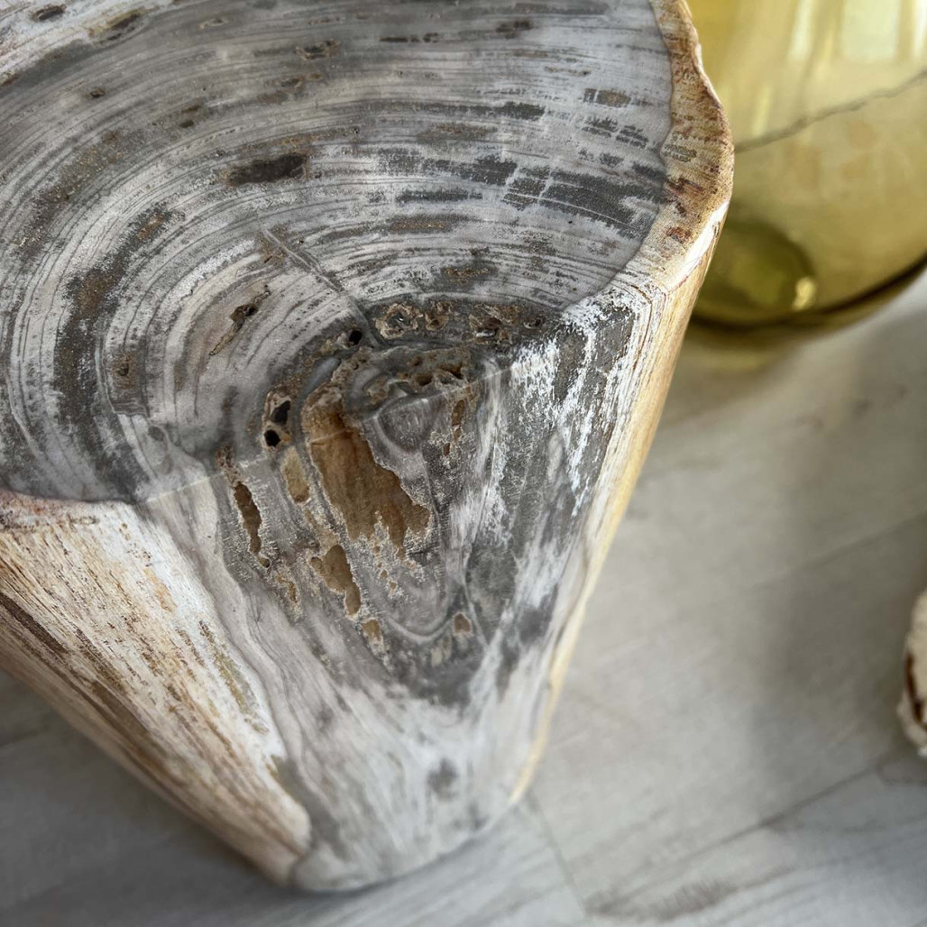Puf Taburete de madera petrificada Puf Taburete de madera petrificada