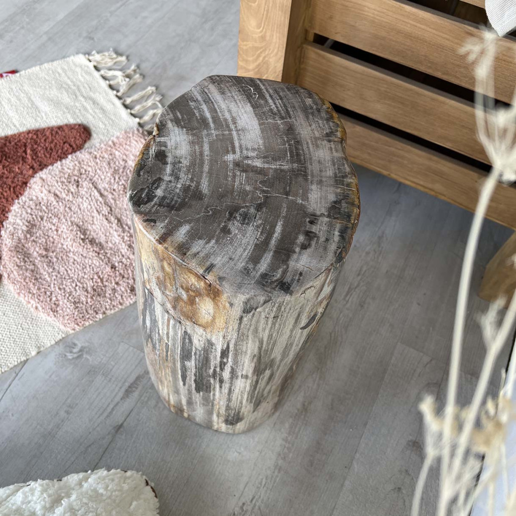 Puf Taburete de madera petrificada