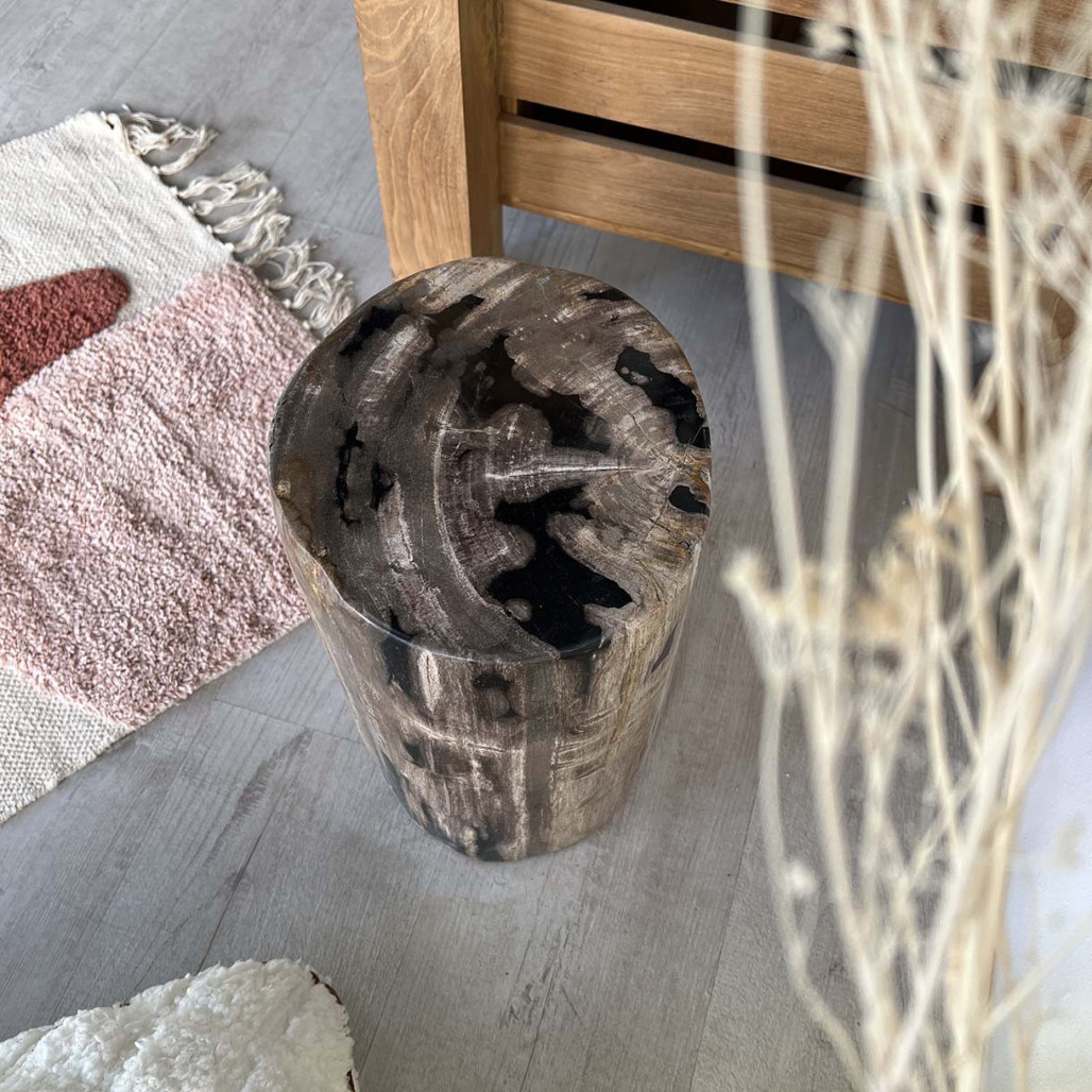 Puf de madera petrificada Puf de madera petrificada