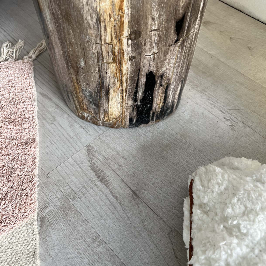 Puf de madera petrificada Puf de madera petrificada