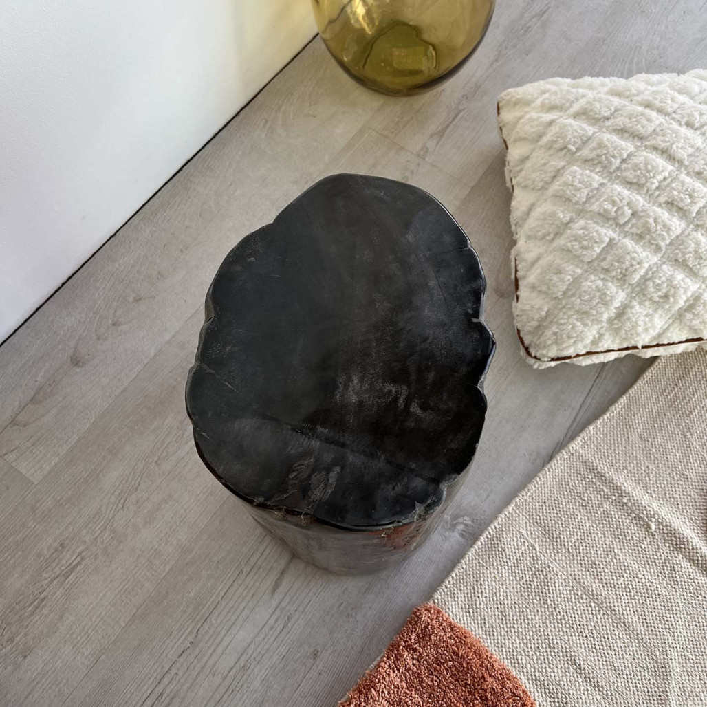 TABURETE de diseño MADERA PETRIFICADA TABURETE de diseño MADERA PETRIFICADA