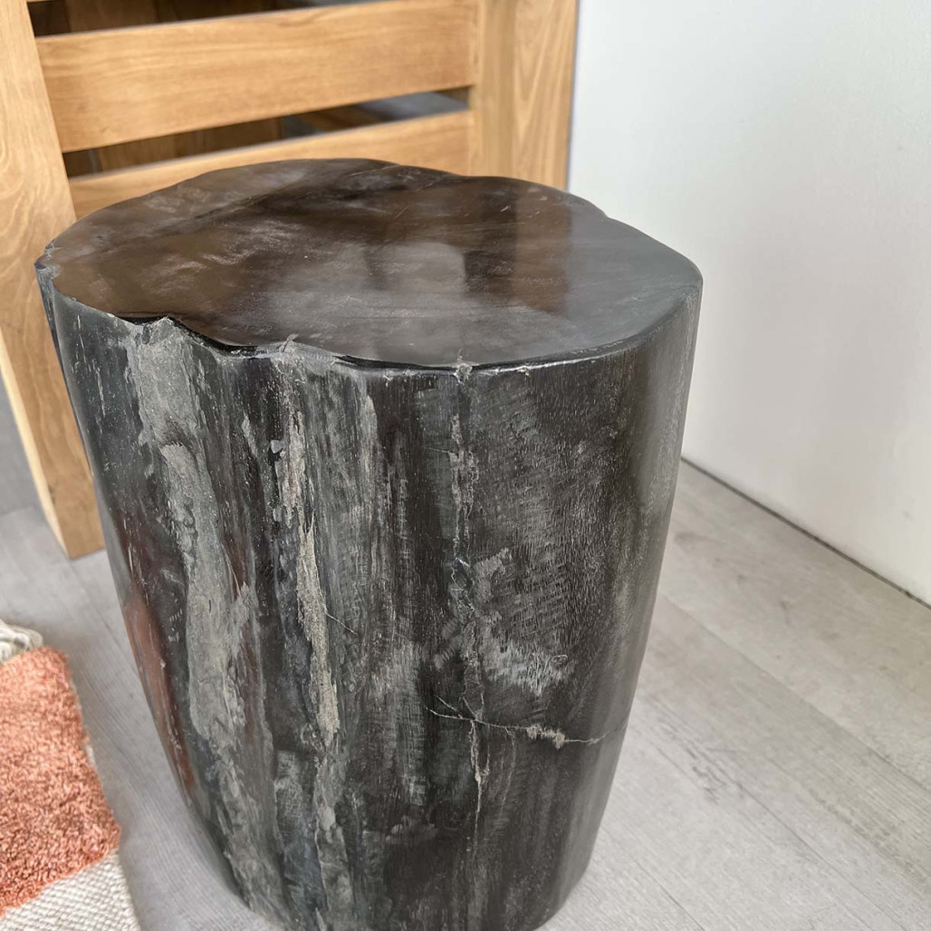 TABURETE de diseño MADERA PETRIFICADA TABURETE de diseño MADERA PETRIFICADA