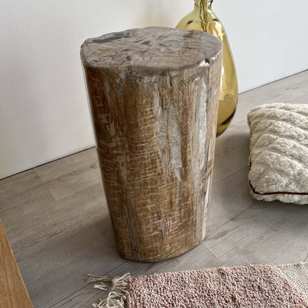 puf de madera petrificada fosilizada