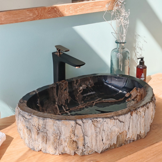 Vasque de salle de bain en bois pétrifié fossilisé noir