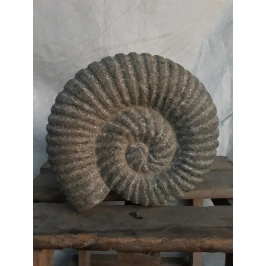 Concha nautilus de piedra 30 cm