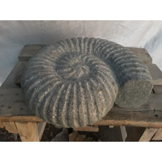 Concha nautilus de piedra 30 cm
