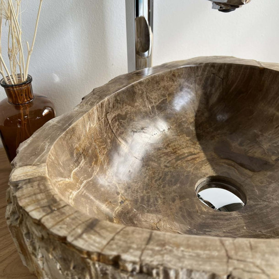 Gran lavabo de baño de madera petrificada fosilizada